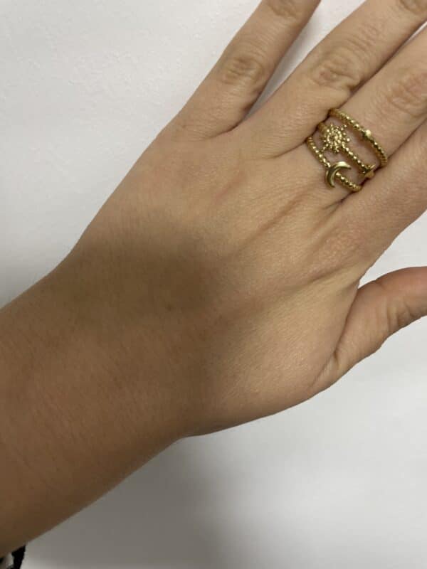 Anillo 1
