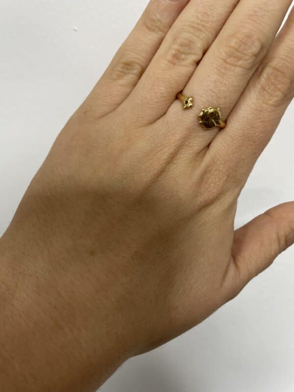 Anillo 5