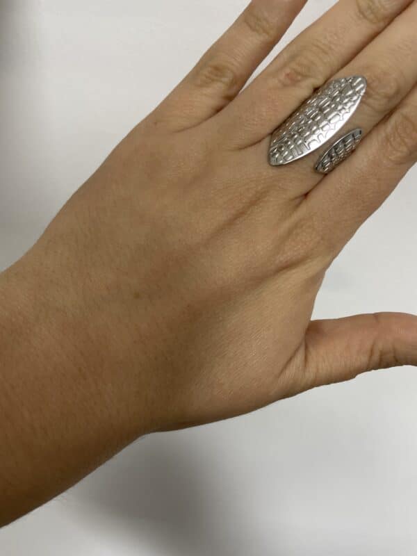 Anillo 8