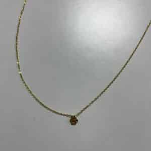 Cadena 2